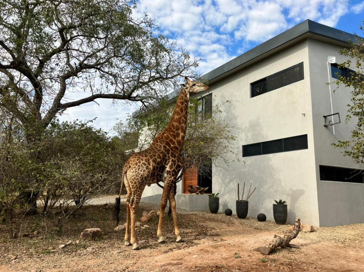 Birdsong Kruger Villa Marloth Park Luaran gambar